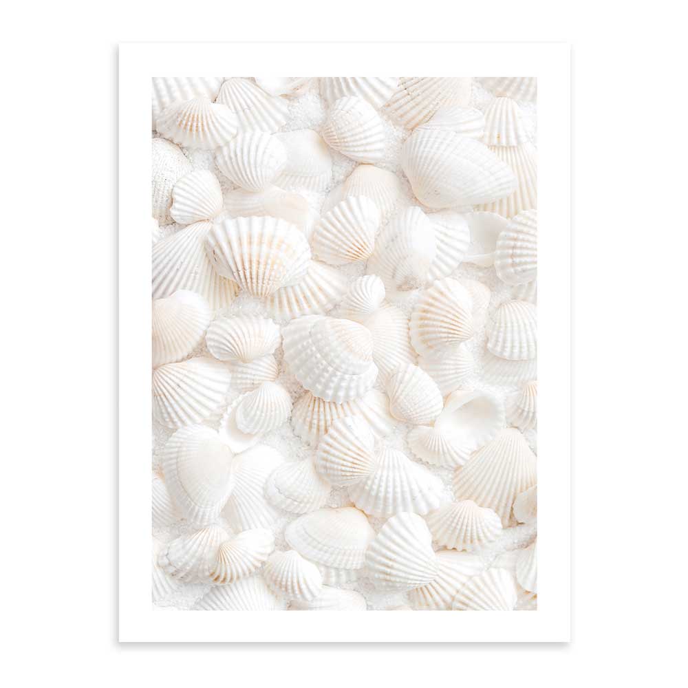 Conchas Blancas 50x70 / Marco Color Roble