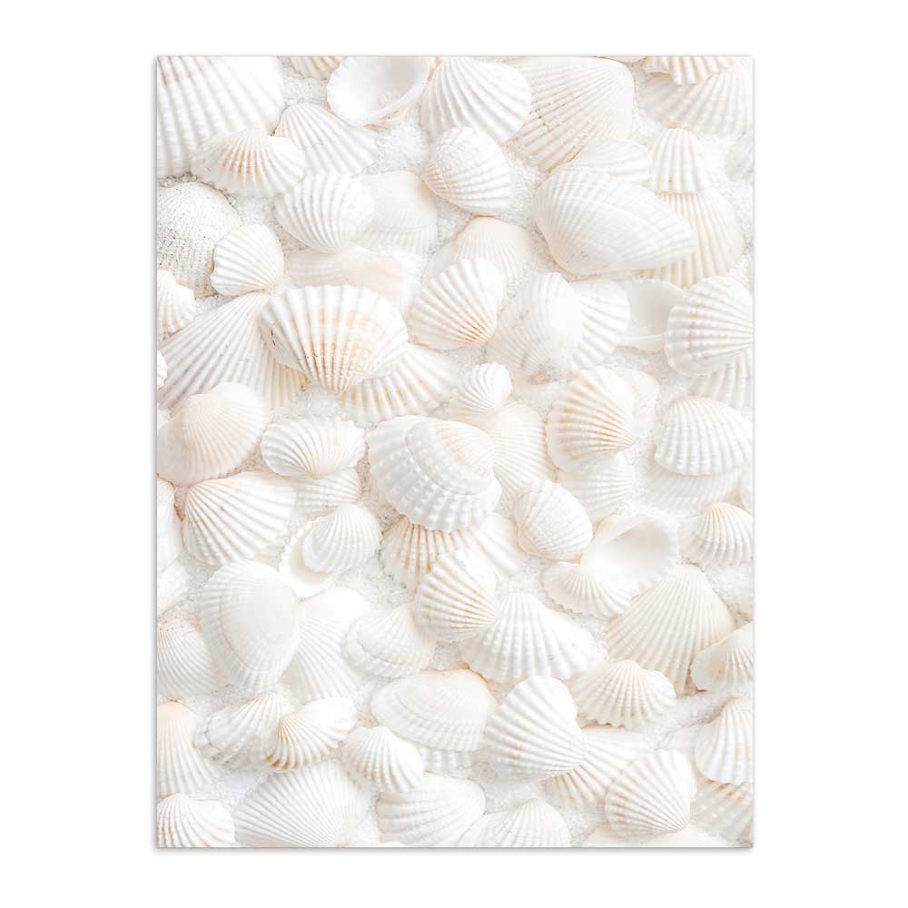 Conchas Marinas 50x70 / Marco Color Roble