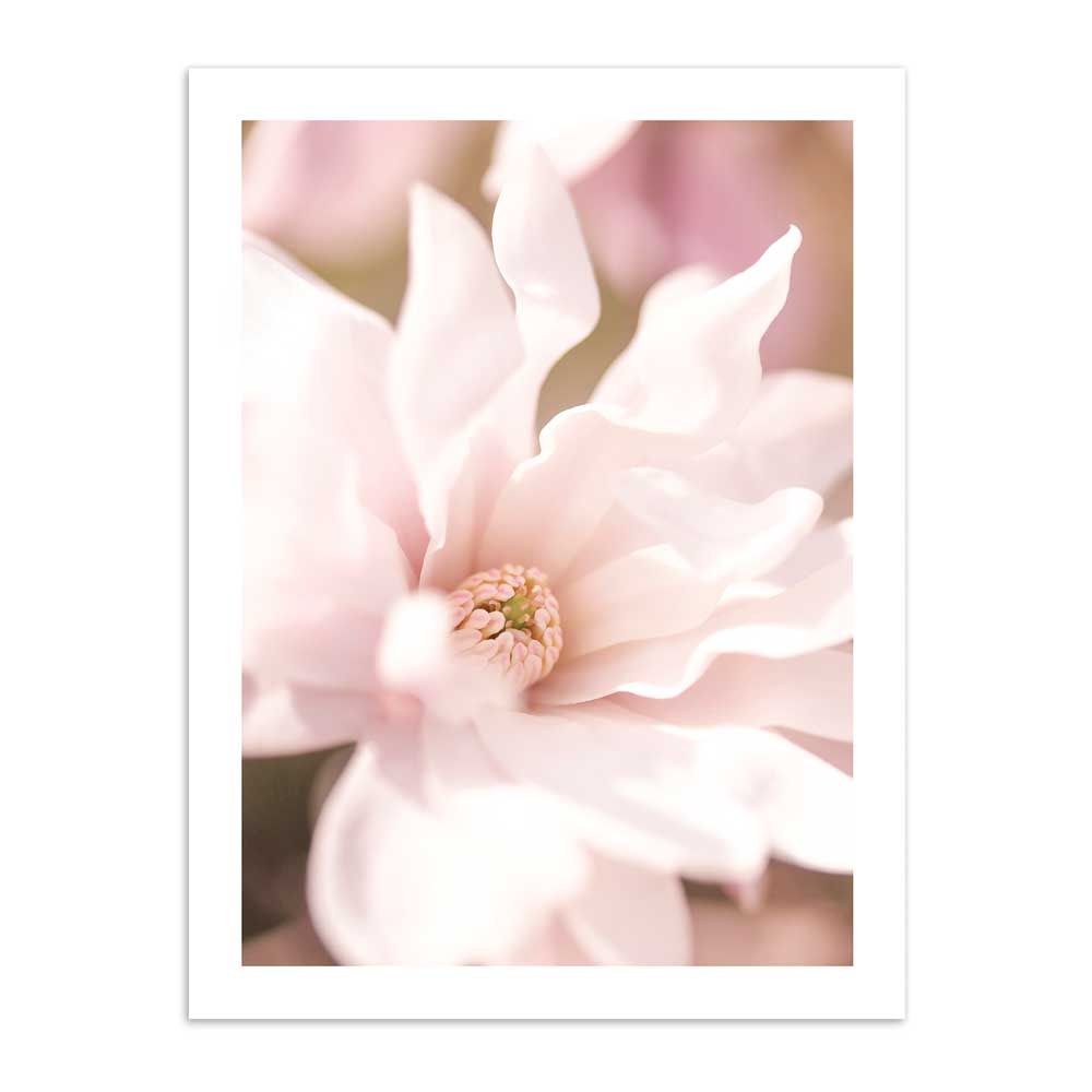 Flor Suave 50x70 / Marco Color Roble