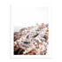 Santorini Blanca 50x70 / Marco Color Roble