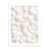 Conchas Blancas 50x70 / Marco Color Roble