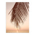 Olas Beige 50x70 / Marco Color Roble