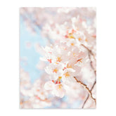 Cerezo Primavera 50x70 / Marco Color Roble