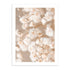 Flores Delicadas 50x70 / Marco Color Roble