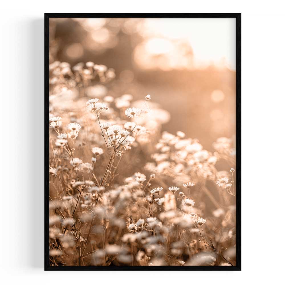 Flores Silvestres Marco Color Negro / 30x40