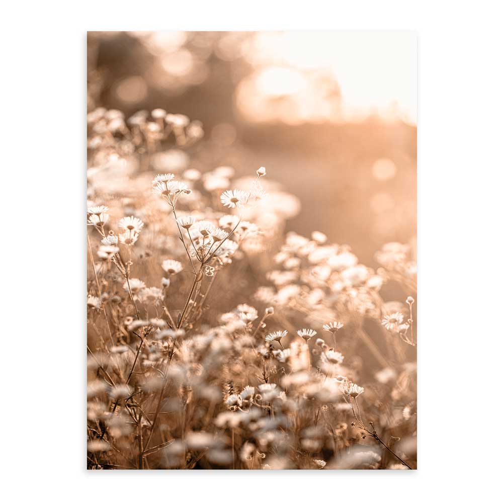 Flores Silvestres Marco Color Roble / 50x70