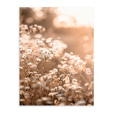 Flores Silvestres Marco Color Roble / 50x70