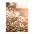 Flores Silvestres Marco Color Roble / 50x70