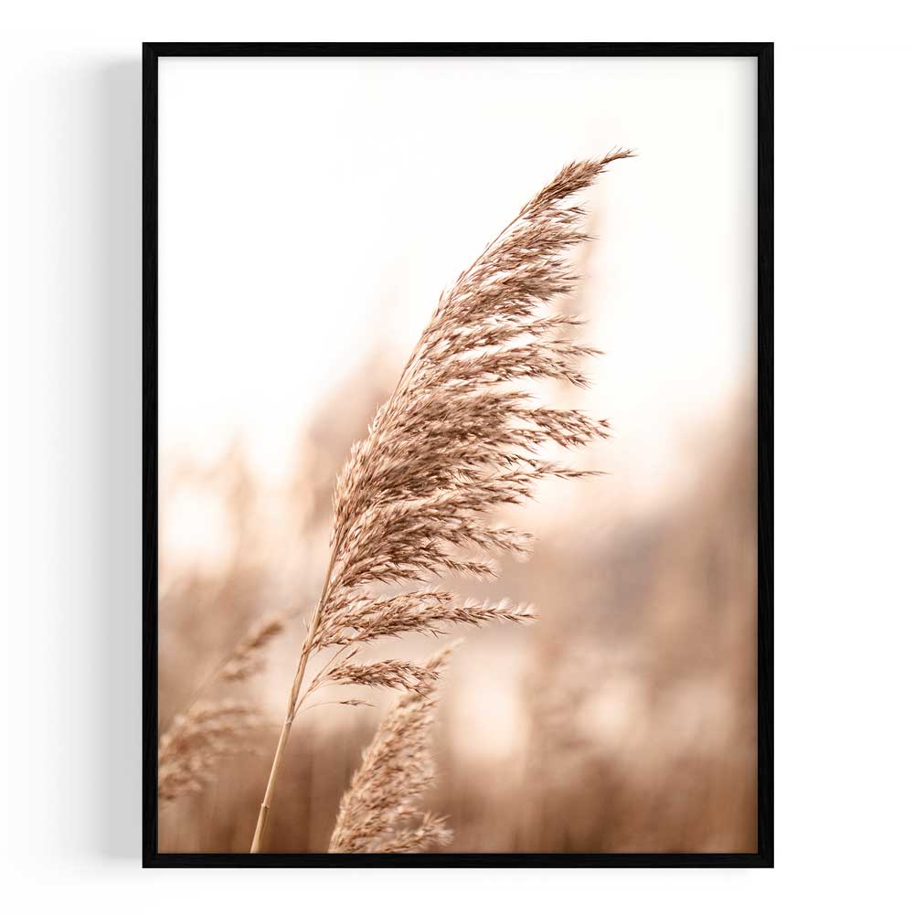 Pampas Marco Color Negro / 30x40