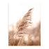 Pampas Marco Color Roble / 50x70