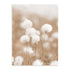 Diente León Marco Color Roble / 50x70