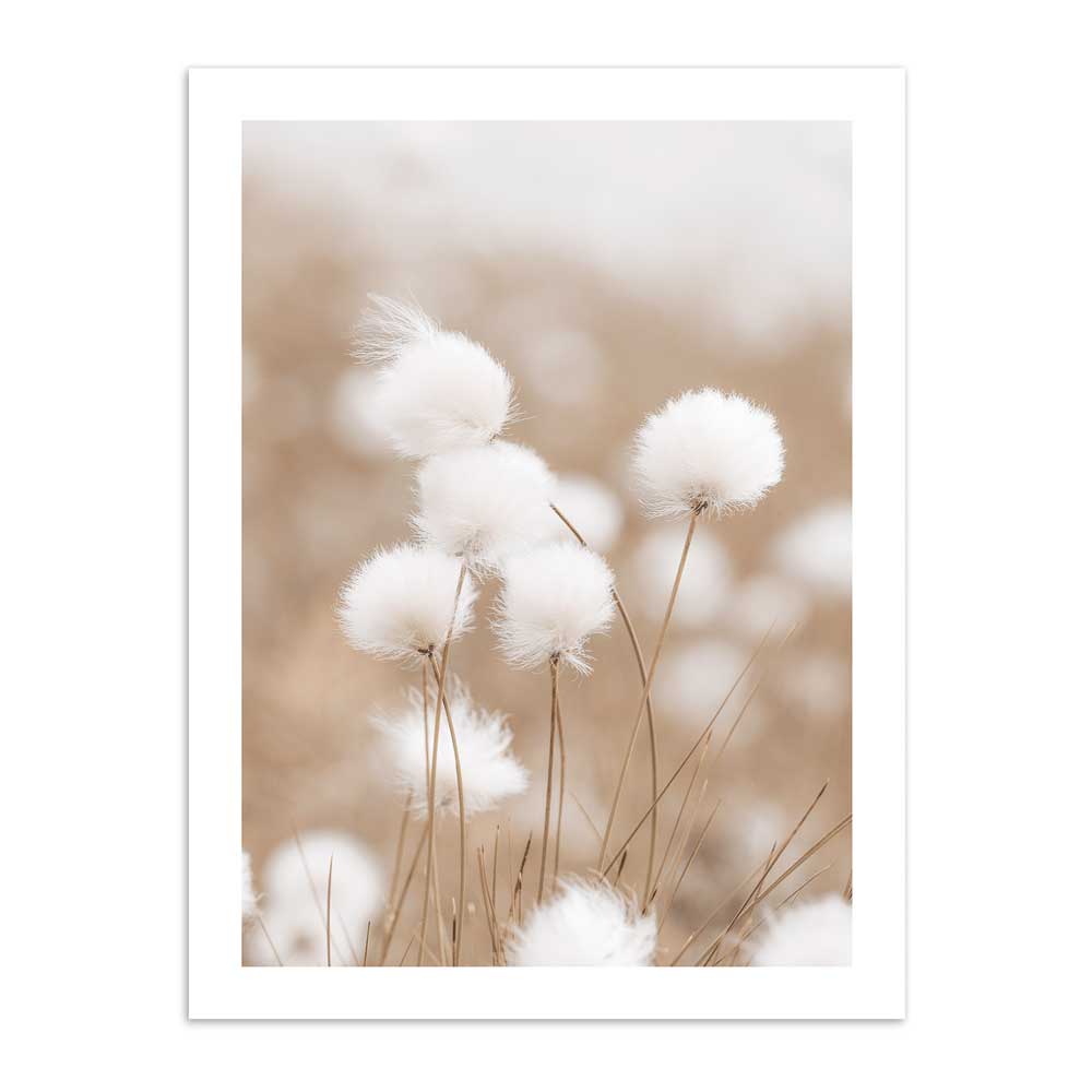 Diente León 50x70 / Marco Color Roble
