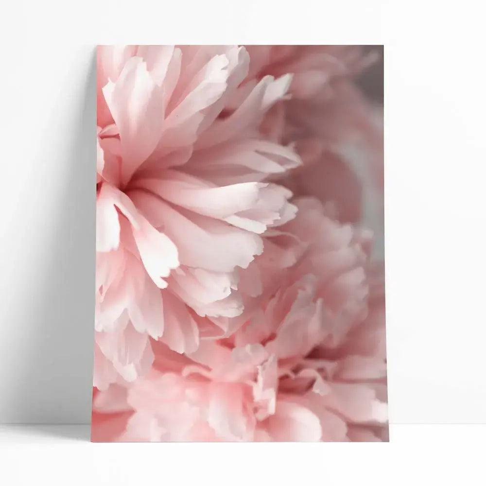 Juego de 6 láminas decorativas de fotografías con tonos rosa ideales para decorar el salón o el dormitorio.